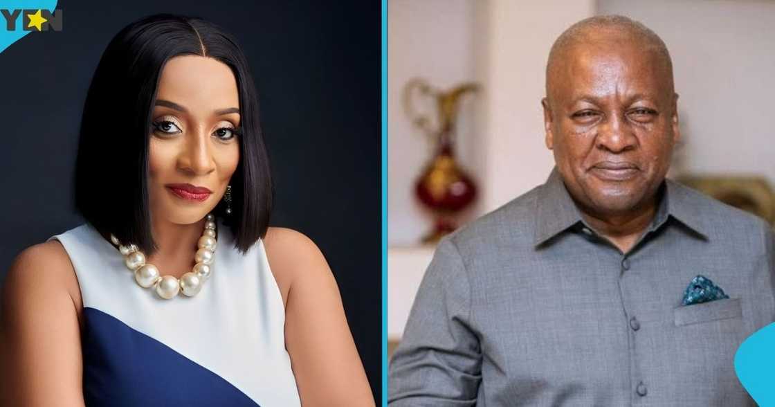 Sabah Zita Benson, Ghana's High Commissioner-designate to the UK, Ireland, President John Mahama, Ghana Ambassadors, former Minister of State Sabah Zita Benson, Ghana's High Commissioner-designate to the UK, Ireland, President John Mahama, Ghana Ambassadors, former Minister of State