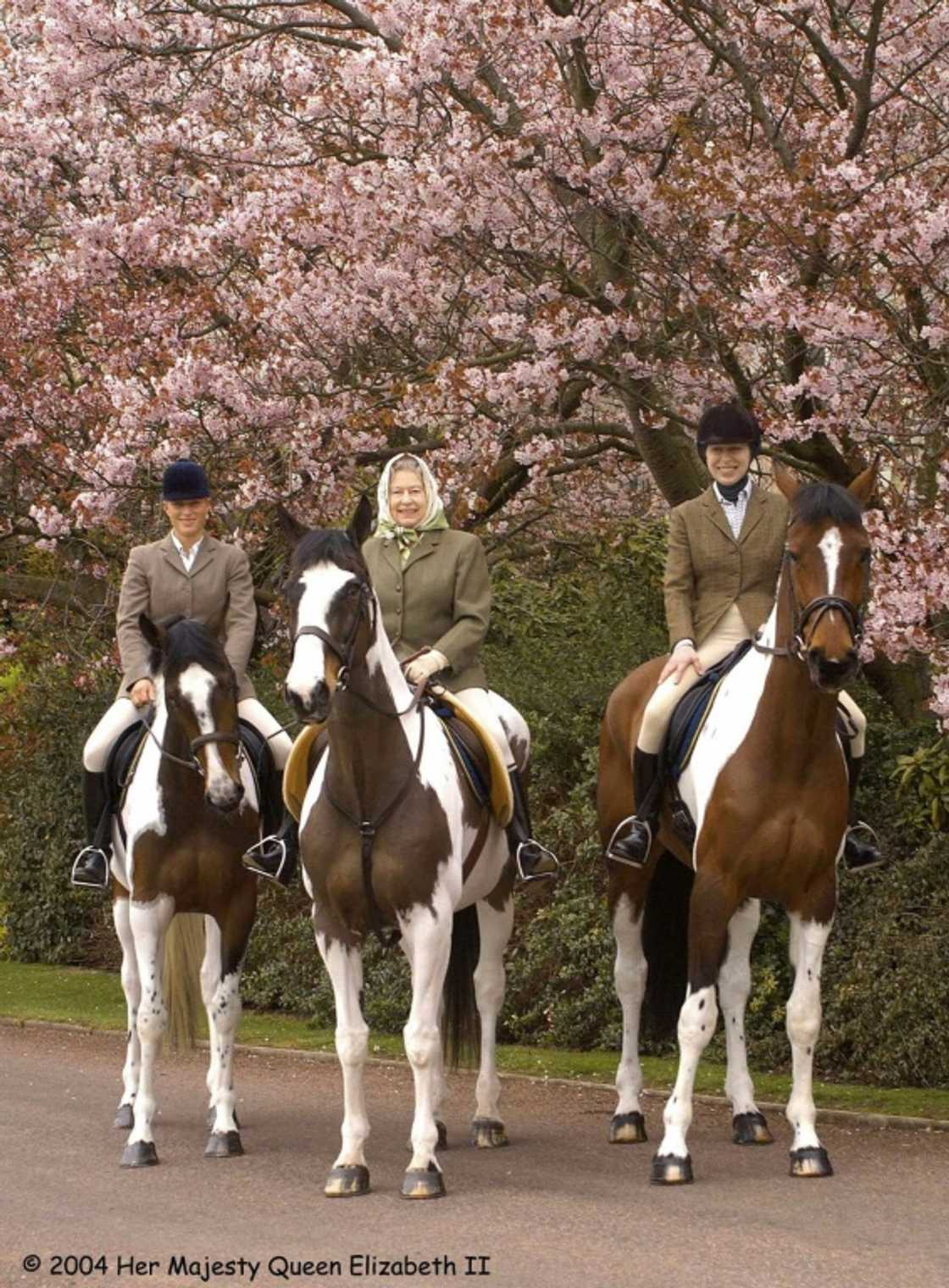 She inherited her mother's passion for horses, which she passed on to her daughter, the Olympic equestrian Zara Tindall She inherited her mother's passion for horses, which she passed on to her daughter, the Olympic equestrian Zara Tindall
