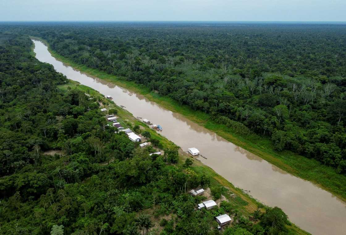 Brazil's president-elect Lula has vowed to halt the rampant deforestation of the Amazon