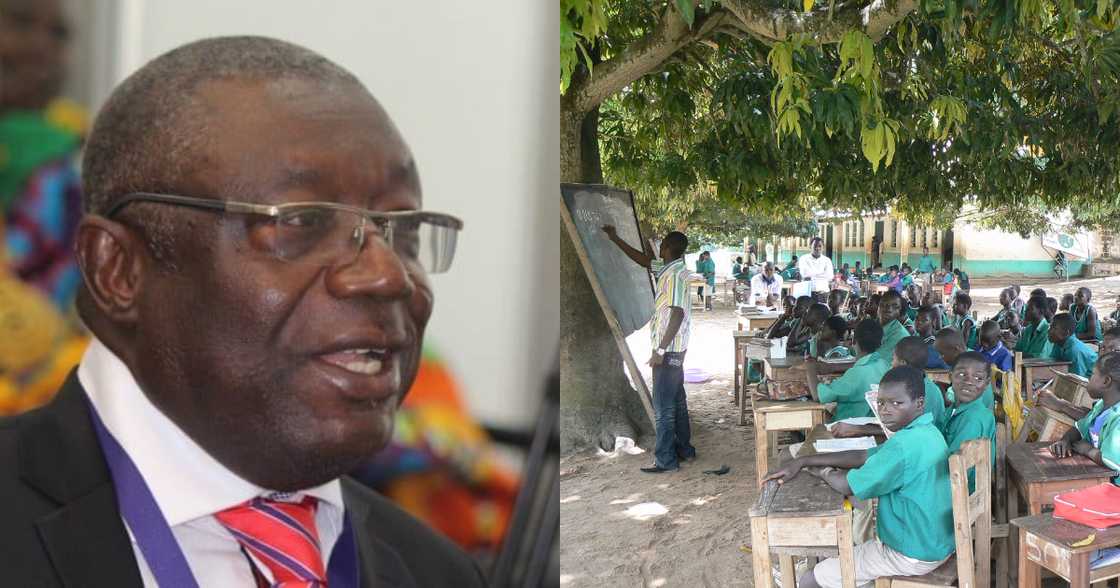 COVID-19: Gov't must re-introduce concept of schools under trees to curb spread – Min. designate COVID-19: Gov't must re-introduce concept of schools under trees to curb spread – Min. designate