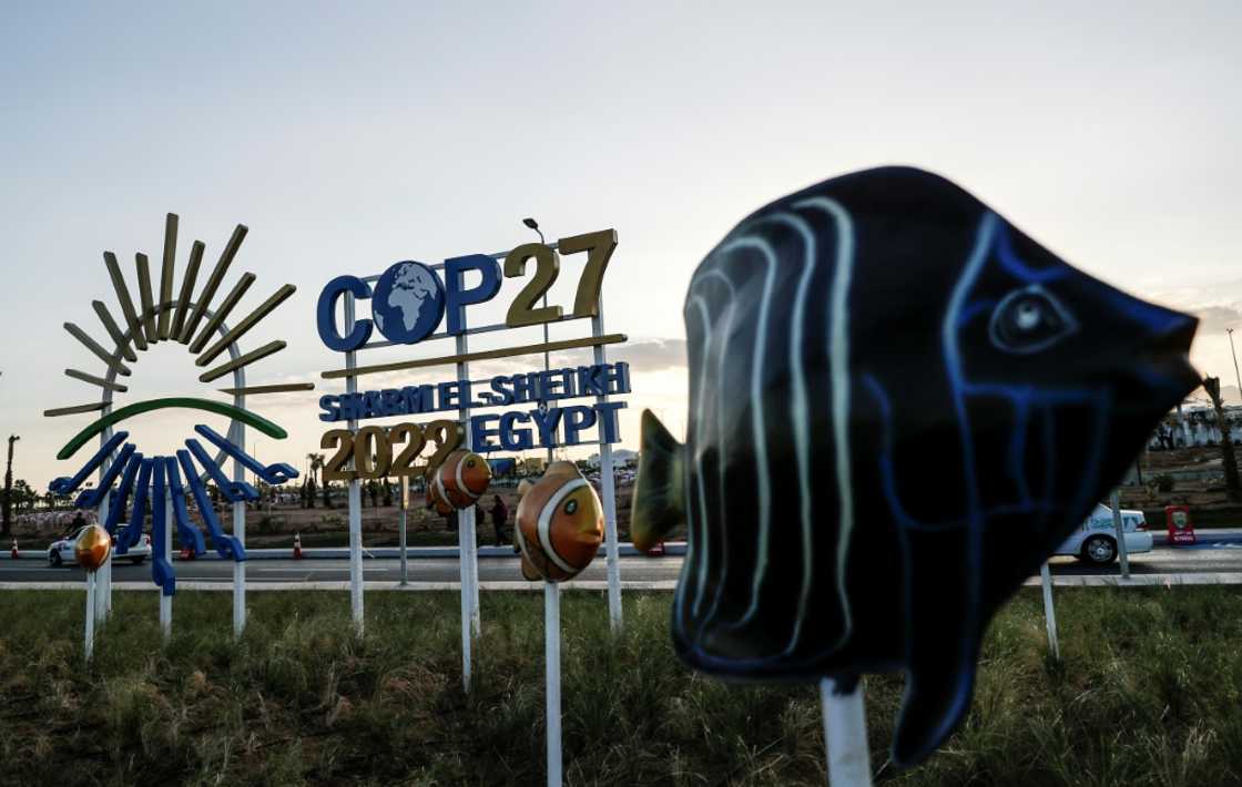 This picture shows a view of the green zone at the Sharm el-Sheikh International Convention Centre, during the COP27 climate conference in Egypt's Red Sea resort city of the same name, on November 9, 2022. This picture shows a view of the green zone at the Sharm el-Sheikh International Convention Centre, during the COP27 climate conference in Egypt's Red Sea resort city of the same name, on November 9, 2022.