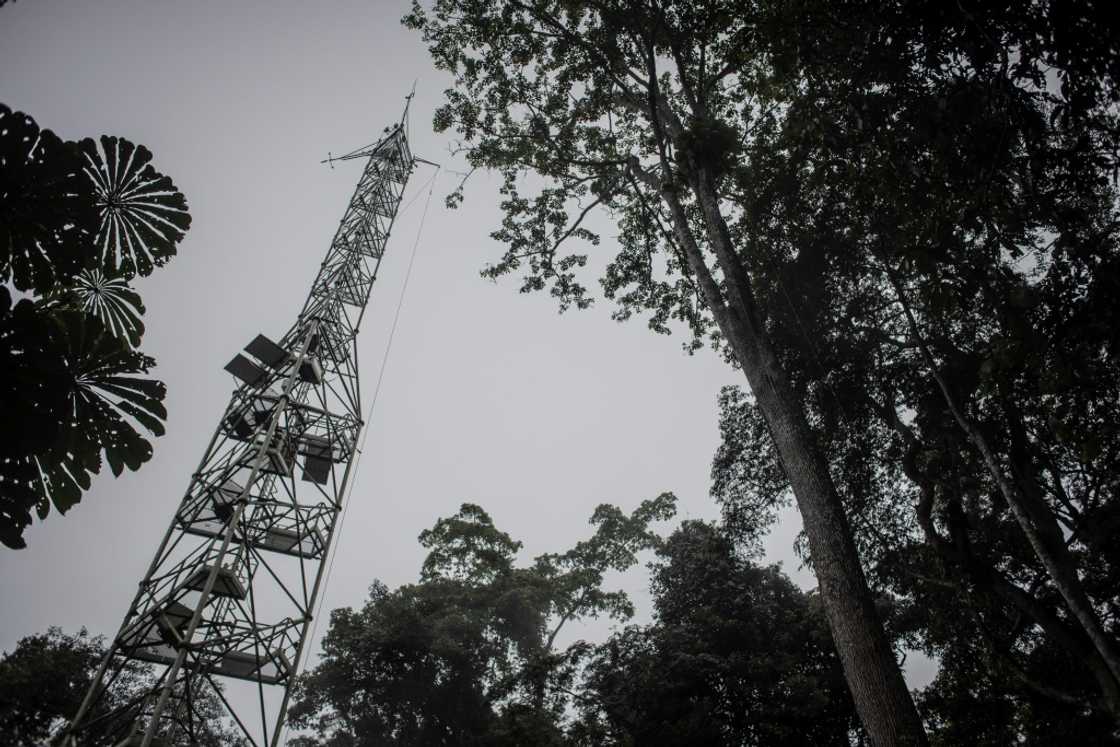 The CO2-measuring flux tower came online in 2020 The CO2-measuring flux tower came online in 2020