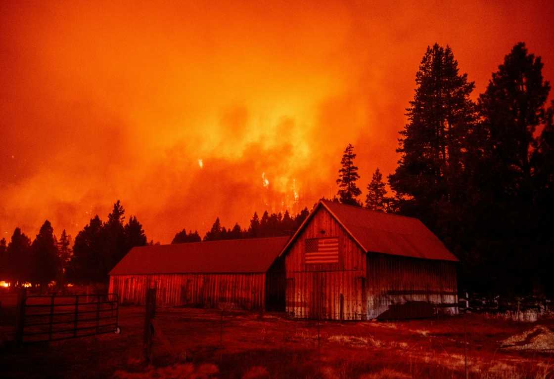 The plan put forth by US Democrats would help protect the nation's forests from the ravages of persistent wildfires