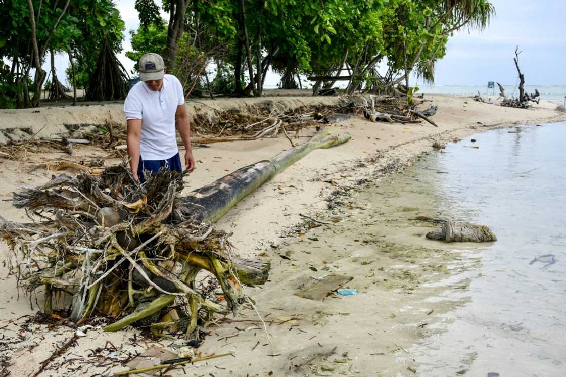 The plaintiffs want help in installing protective measures such as planting mangrove trees