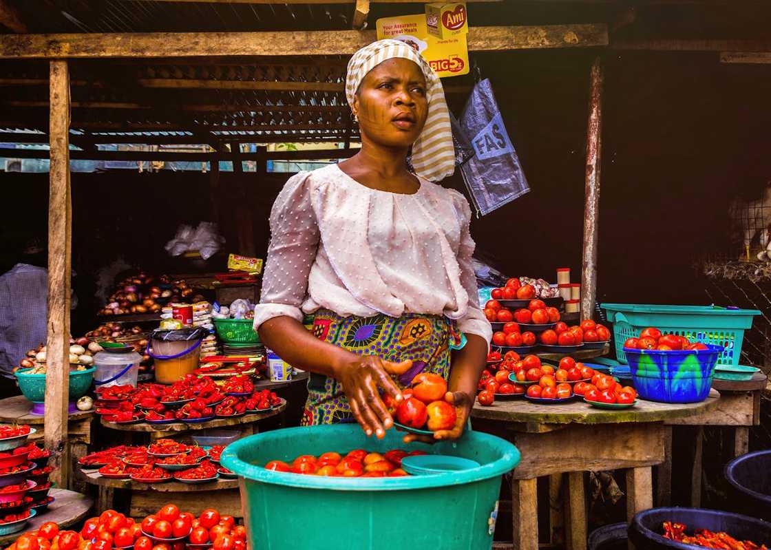 A market vendor sorting tomatoes at an outdoor stall. A market vendor sorting tomatoes at an outdoor stall.