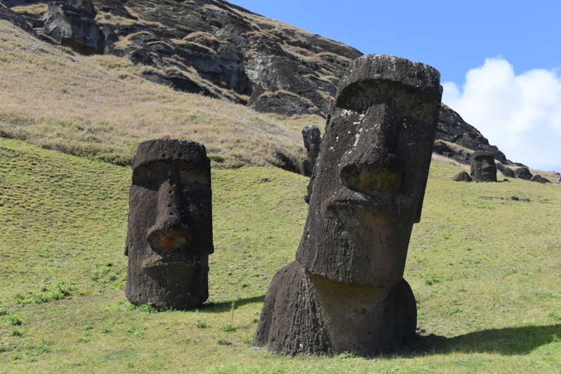 Moais seen on the outer slopes of Rano Raraku volcanic crater Moais seen on the outer slopes of Rano Raraku volcanic crater