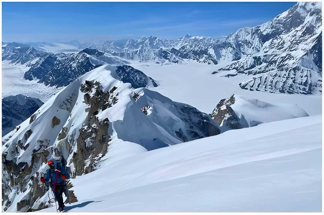 Mount Hunter Mount Hunter