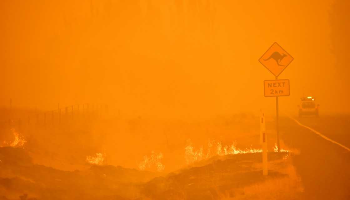 Australian bushfires in 2019 and 2020 were so bad they affected the hole in the ozone layer, researchers say