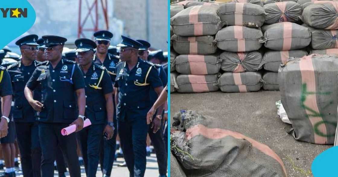 Police officer, Western Regional Police Command, Ghana Police Service, rejects bribe, Indian hemp