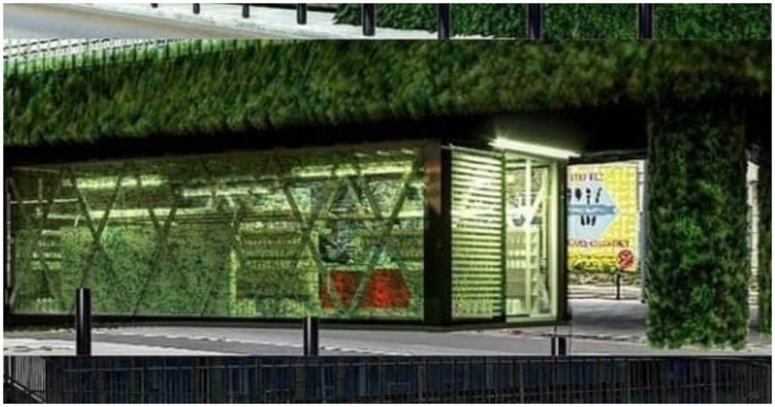 A shipping container store as designed by Stephen A shipping container store as designed by Stephen