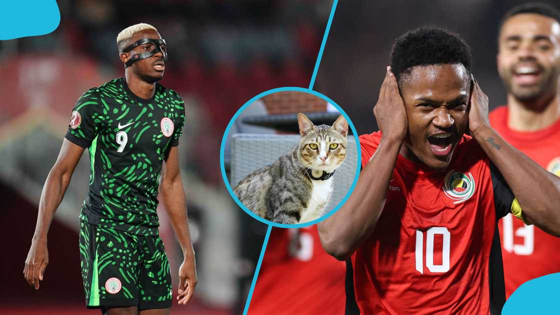 Nigeria vs Mozambique, Nigeria AFCON 2025 predictions, Super Eagles AFCON 2025, Mysterious cat predictions, Nimbus Pronos, Round of 16 AFCON, AFCON 2025 preview, Nigeria football news, Mozambique AFCON performance.