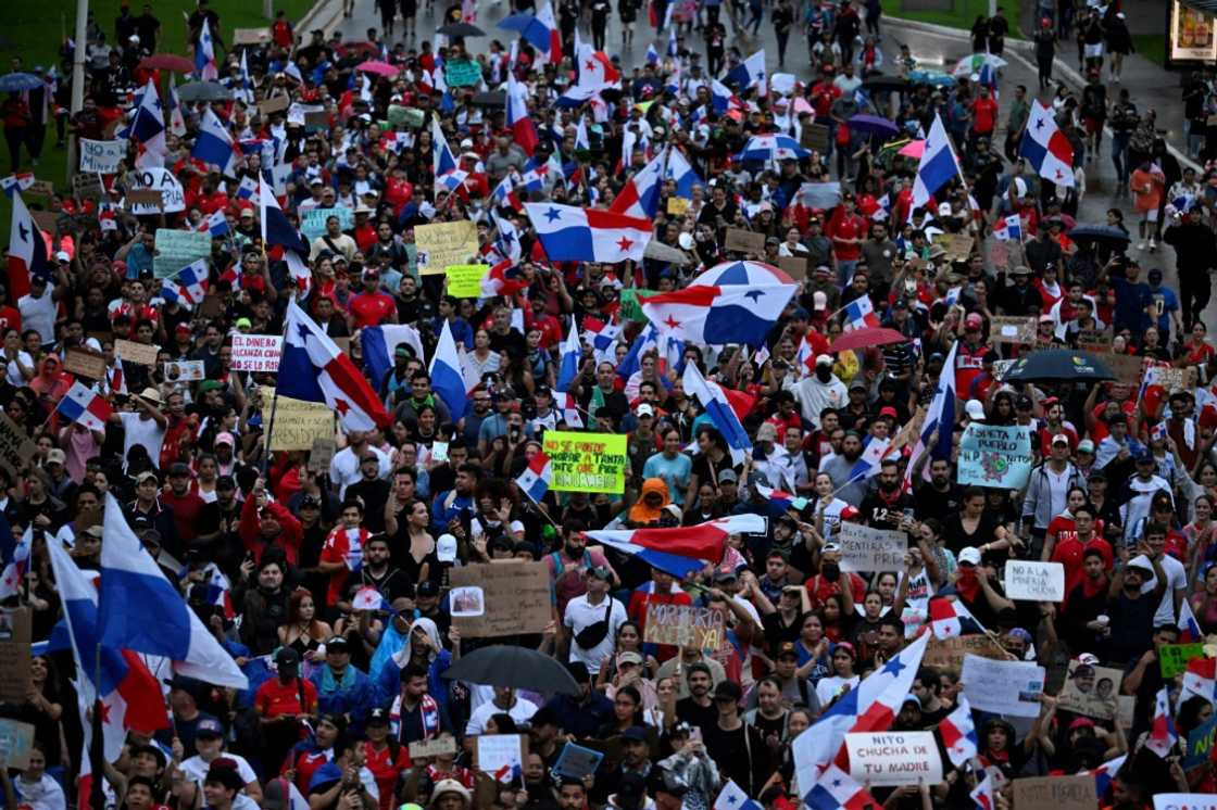 Protesters are concerned over the potential environmental impacts of the First Quantum mine Protesters are concerned over the potential environmental impacts of the First Quantum mine