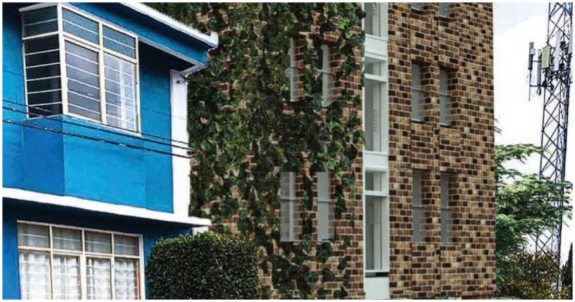 Stephen designs a real-life residential project for a client in Mexico Stephen designs a real-life residential project for a client in Mexico