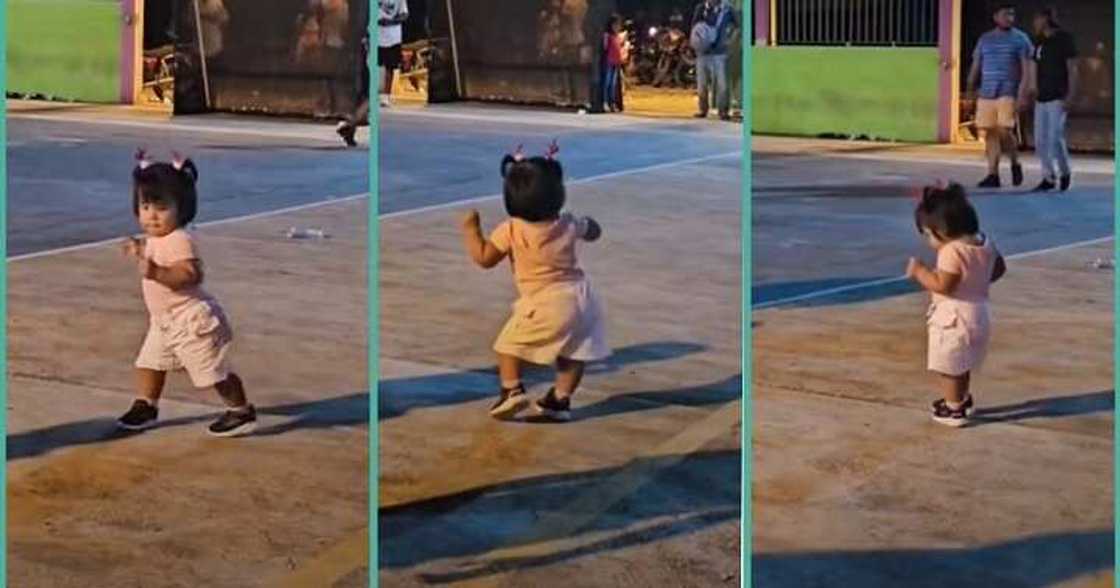 Toddler captivates netizens with dance moves Toddler captivates netizens with dance moves