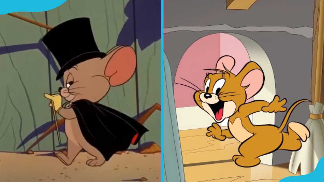 Jerry from Tom and Jerry Jerry from Tom and Jerry