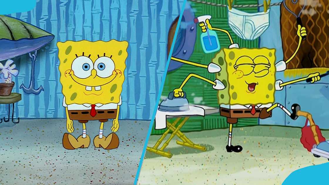 How old is SpongeBob SquarePants How old is SpongeBob SquarePants