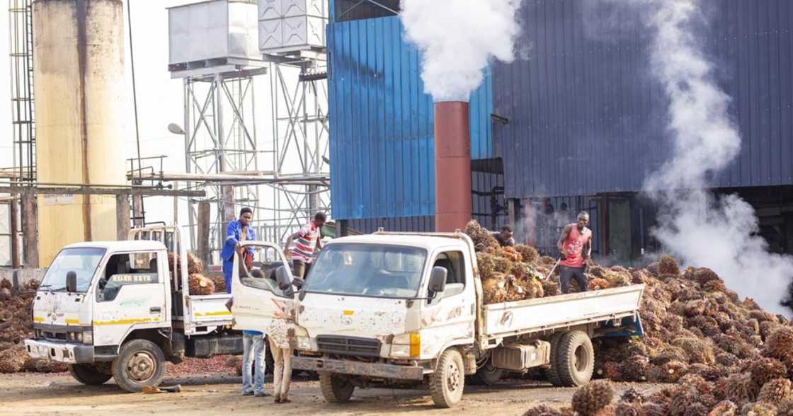 Juaben Oil Mill at Juaben in the Ashanti region