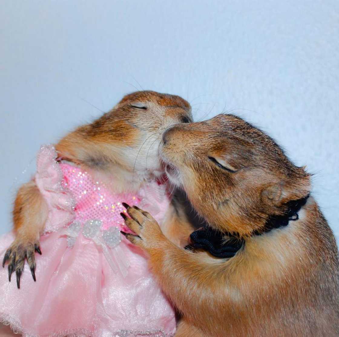 The most important image on the internet in 2022: 20 photos made famous by Google The most important image on the internet in 2022: 20 photos made famous by Google