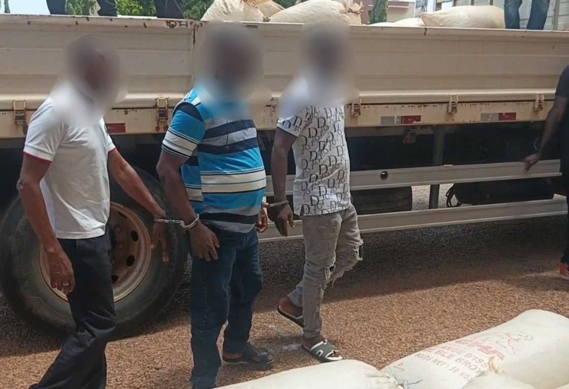 cocoa smuggling Ghana, Bono Region, Joseph Addae Akwaboa, Ghana Cocoa Board, Dormaa West District, Nkrankwanta, cocoa farmers Ghana, illegal cocoa trade