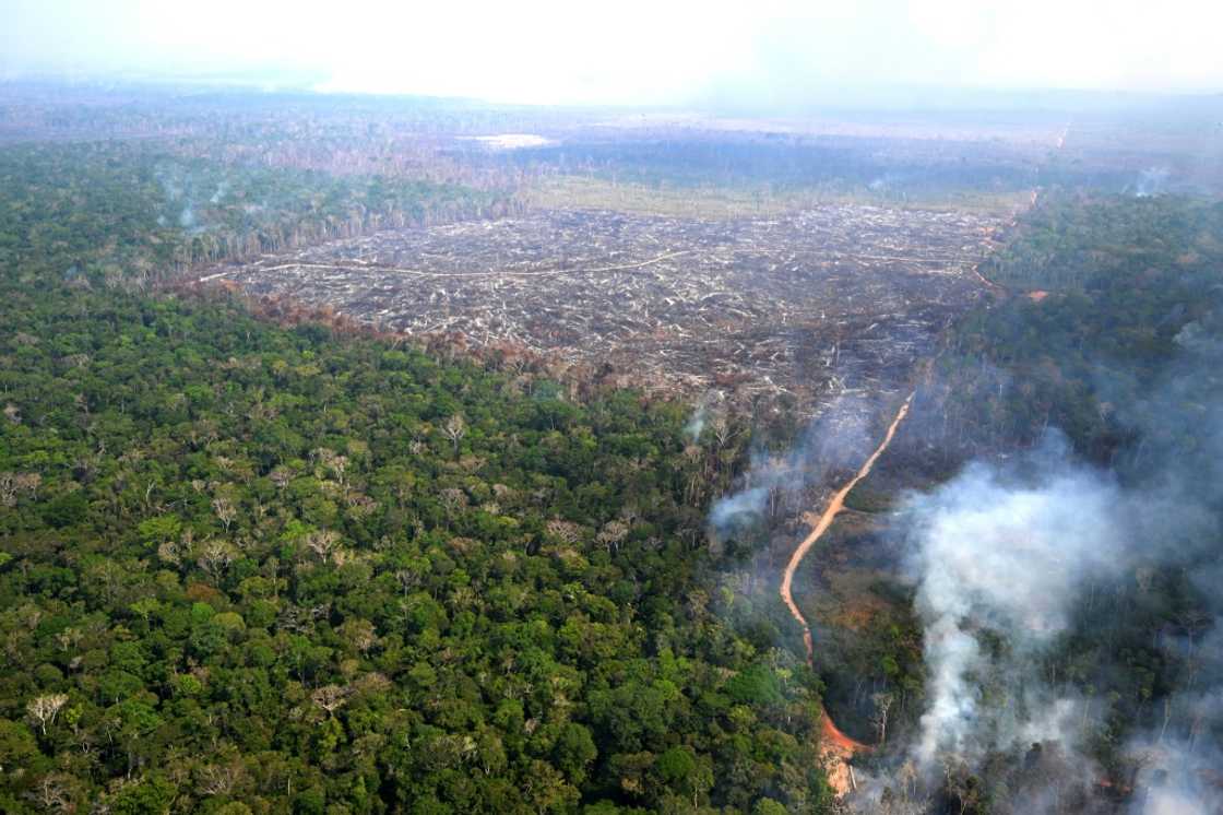 Products grown on recently deforested land will soon be banned from the European Union