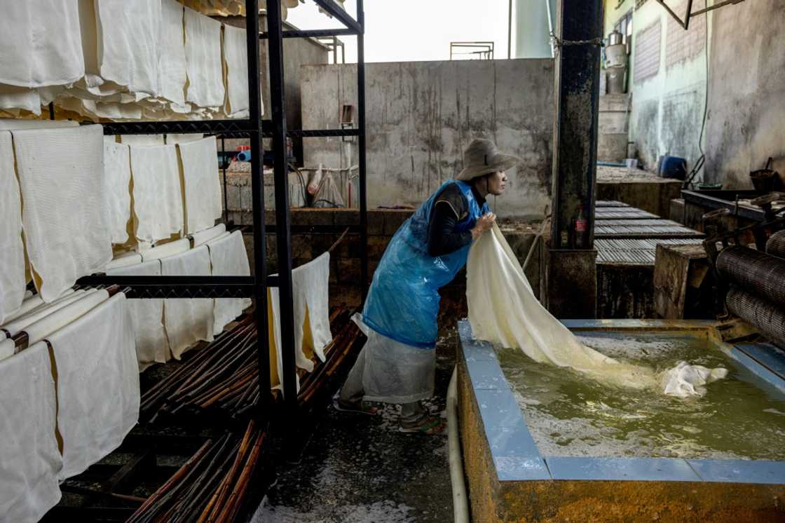 Factory workers process natural rubber sheets at the Klongpan rubber cooperative in Trang province Factory workers process natural rubber sheets at the Klongpan rubber cooperative in Trang province