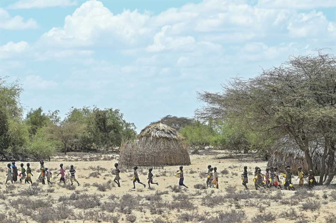 Children from Kenya's Turkana community walk in October to receive food aid; the wider Horn of Africa is facing its worst drought in more than four decades with over 20 million people impacted Children from Kenya's Turkana community walk in October to receive food aid; the wider Horn of Africa is facing its worst drought in more than four decades with over 20 million people impacted
