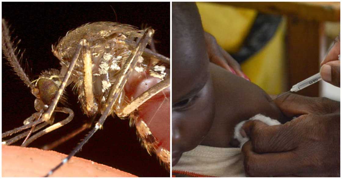 A new malaria vaccine developed by scientists at the Oxford University has the potential to be world-changing A new malaria vaccine developed by scientists at the Oxford University has the potential to be world-changing