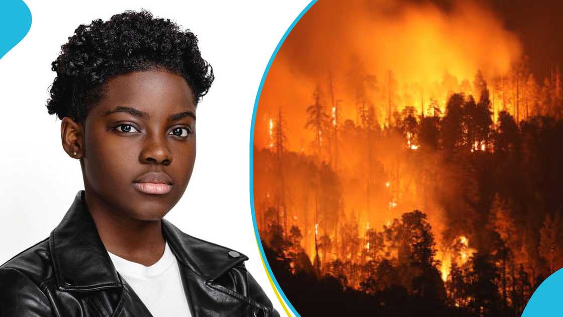 DJ Switch, California wildfires, Ghanaian DJ, California, Los Angeles mayor, California wildfire victims