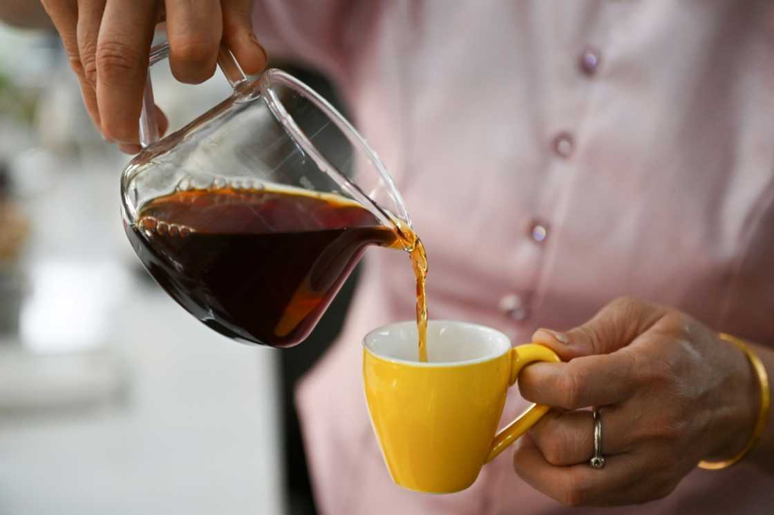 As younger Chinese cultivate a taste for punchy espressos, frothy lattes and flat whites, growers are increasingly branching out into tea's historic rival As younger Chinese cultivate a taste for punchy espressos, frothy lattes and flat whites, growers are increasingly branching out into tea's historic rival
