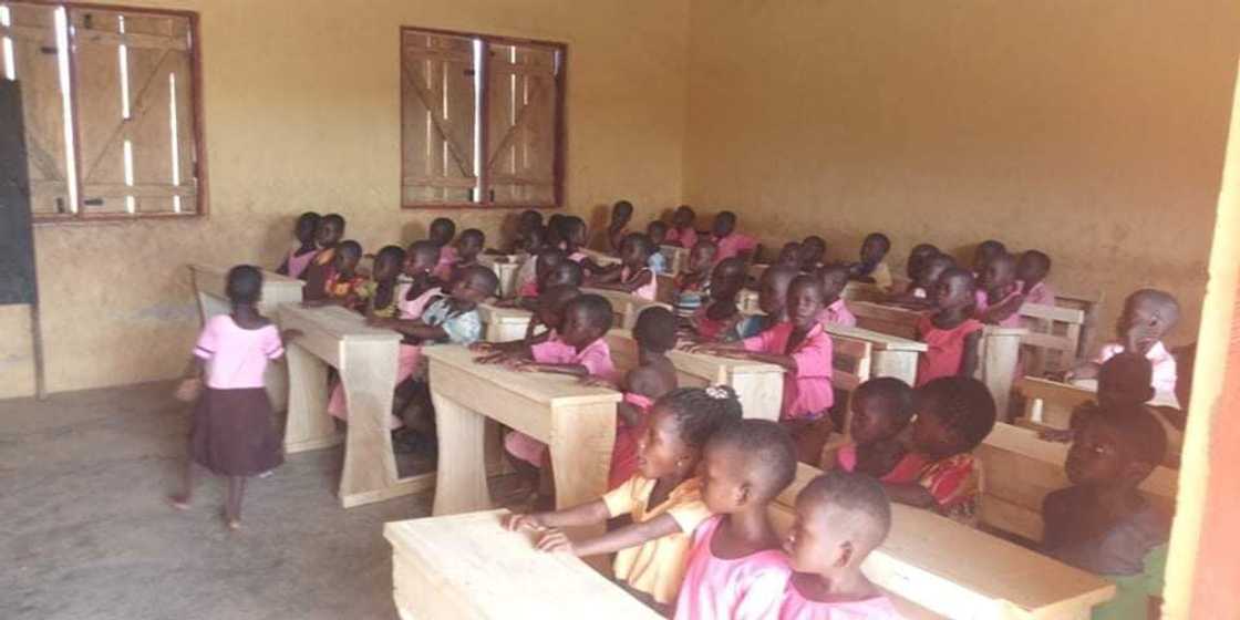 New school's curriculum to start in September 2019 New school's curriculum to start in September 2019