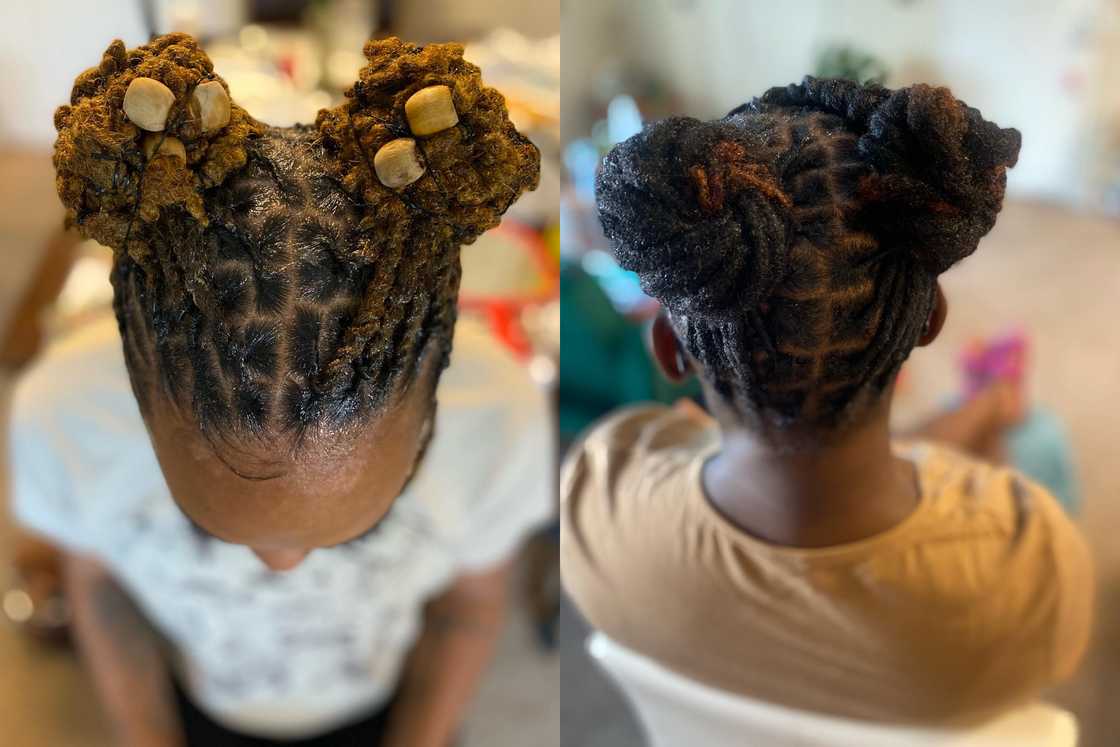 starter locs starter locs