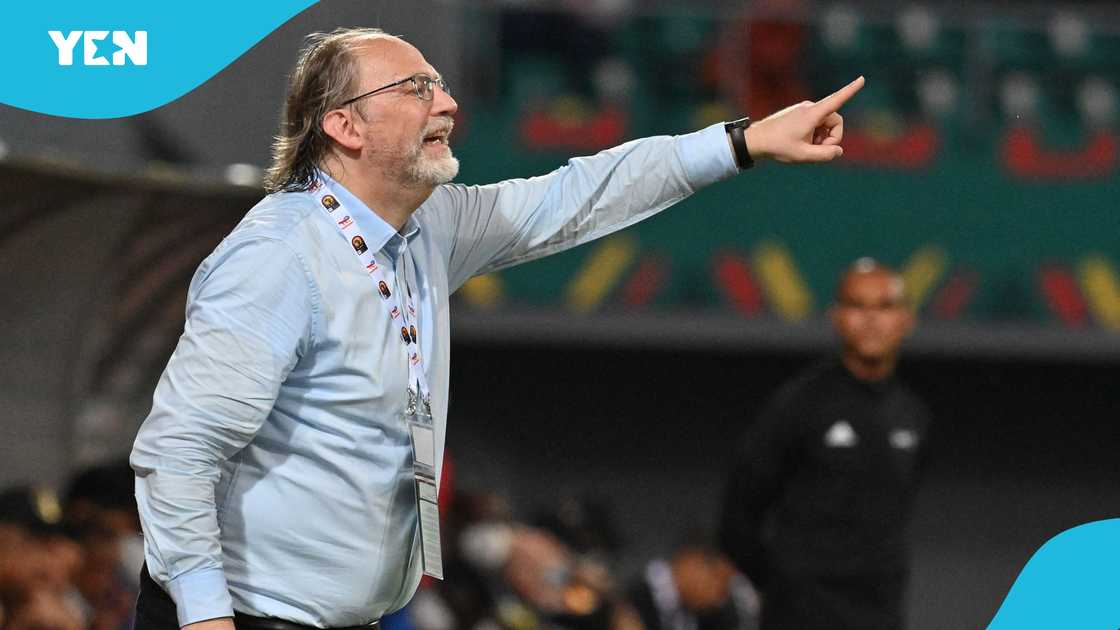 Tom Saintfiet issues instructions from the touchline during his time as Gambia coach at the 2021 AFCON on January 21, 2022. Photo by Issouf Sanogo. Tom Saintfiet issues instructions from the touchline during his time as Gambia coach at the 2021 AFCON on January 21, 2022. Photo by Issouf Sanogo.