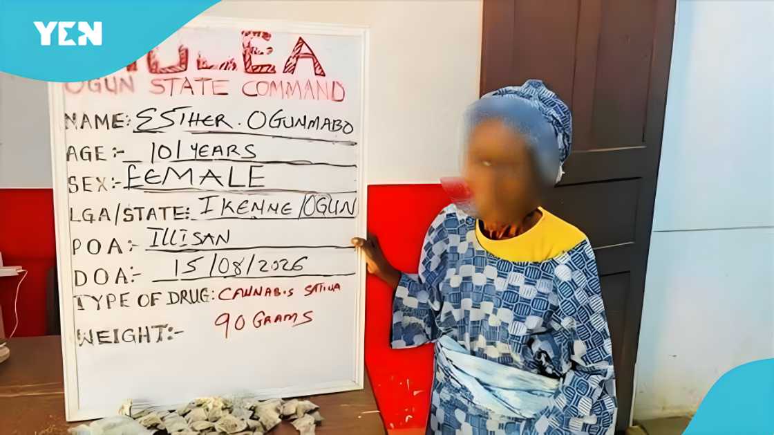 NDLEA arrest, 101-year-old woman, Ilisan Ogun State, illegal substance, elderly woman crime, vulnerable individuals, fire destroyed shop, survival and desperation