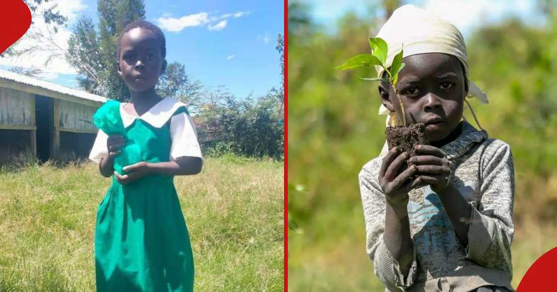 Tabitha Cherotish when she reported to her current school and next frame shows her on the day she planted trees.