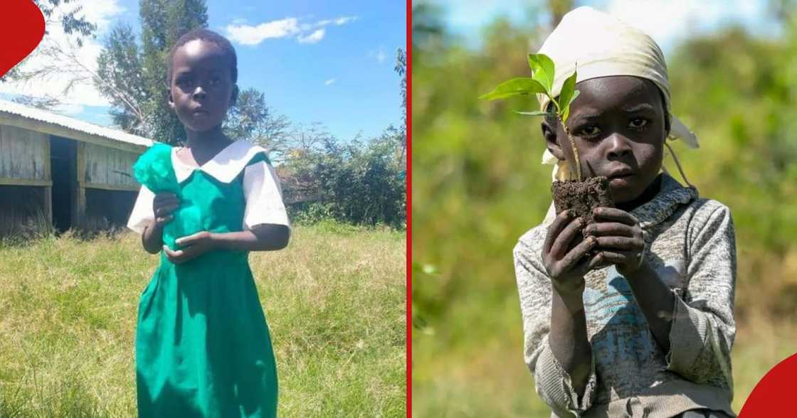 Tabitha Cherotish when she reported to her current school and next frame shows her on the day she planted trees. Tabitha Cherotish when she reported to her current school and next frame shows her on the day she planted trees.