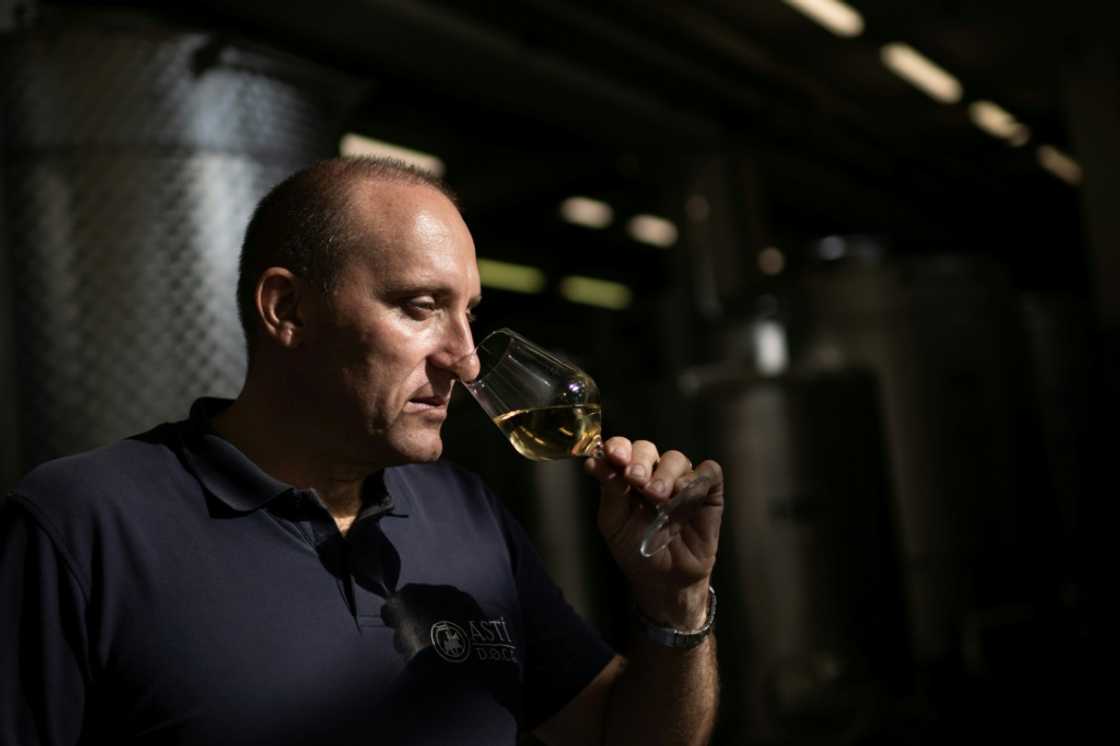 'We'll see in 2026 if the wars end and the markets recover,' says Stefano Ricagno at his Ca' dei Mandorli estate 'We'll see in 2026 if the wars end and the markets recover,' says Stefano Ricagno at his Ca' dei Mandorli estate