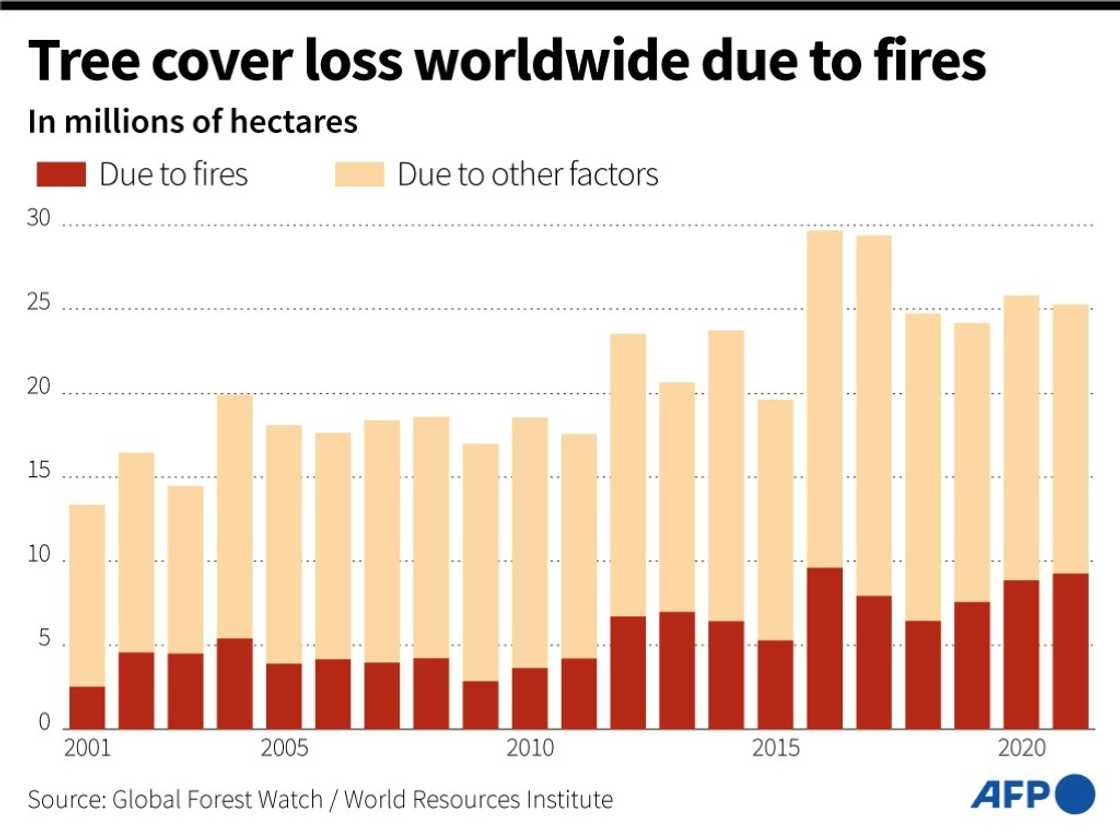 Tree cover loss due to fires Tree cover loss due to fires