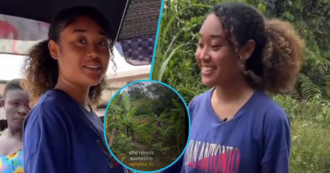 Photos of Marintia Eiko. Photos of Marintia Eiko.