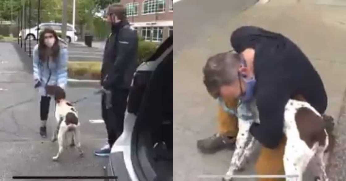 TV Crew Bump into Man Accused of Kidnapping Dog, Help Get Him Arrested TV Crew Bump into Man Accused of Kidnapping Dog, Help Get Him Arrested