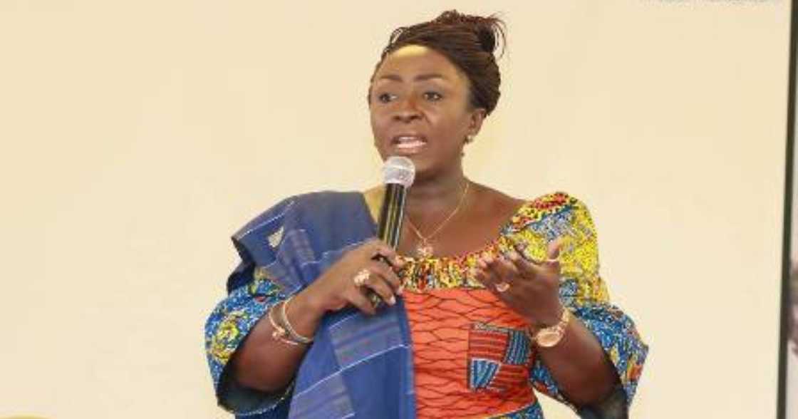 Open land borders to reduce economic stress – Dzifa Gomashie appeals to government Open land borders to reduce economic stress – Dzifa Gomashie appeals to government