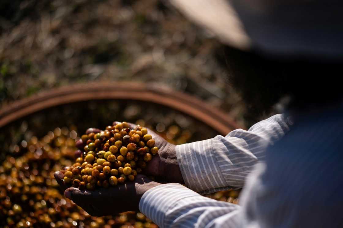 Raphael Brandao produces with beans sourced exclusively from Black farmers