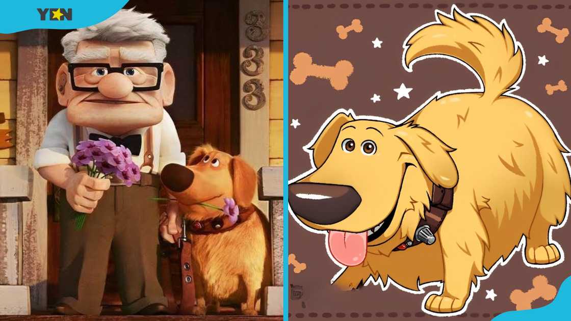 Dug from Up Dug from Up