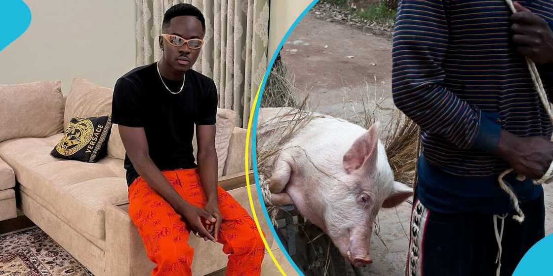 Yaw Tog says he own a pig farm in Kumasi managed by his mother Yaw Tog says he own a pig farm in Kumasi managed by his mother