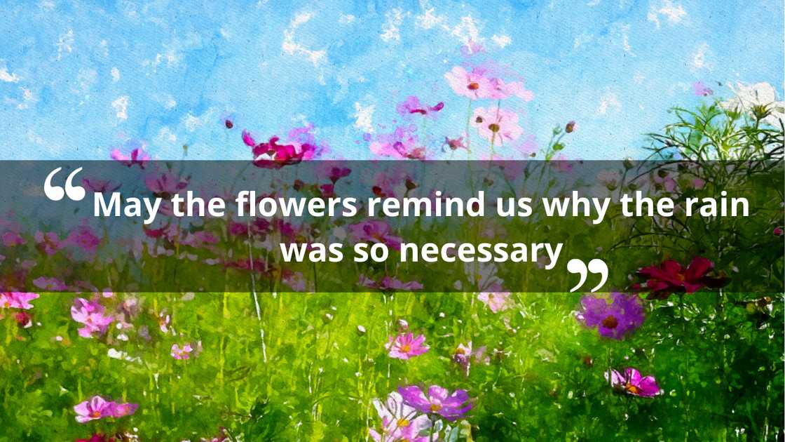 Inspirational quotes about flowers
