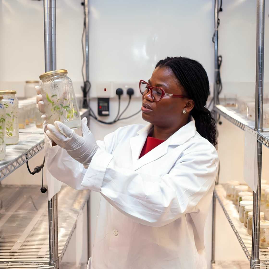 University of Ghana, Dr. Pearl Abu, UNESCO, Award, Ghana, Agriculture, Maize University of Ghana, Dr. Pearl Abu, UNESCO, Award, Ghana, Agriculture, Maize