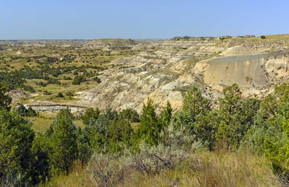 driest state in the US