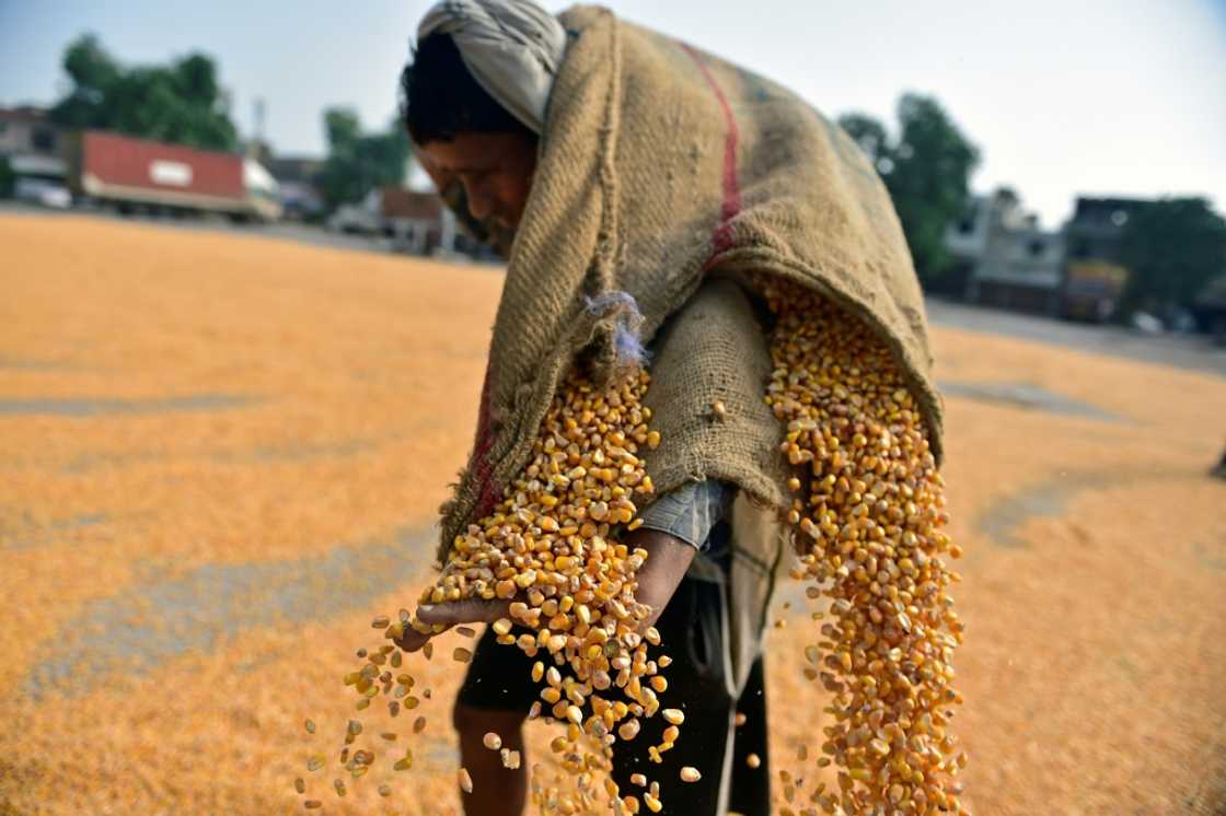 Indian exporters warned that the cost of additional US tariffs totalling 50 percent risked making businesses "not viable"