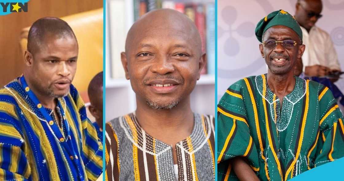 Thomas Worlanyo Tsekpo, Hohoe MP, Ras Mubarak, Johnson Asiedu Nketia, NDC Chairman, flagbearer race Thomas Worlanyo Tsekpo, Hohoe MP, Ras Mubarak, Johnson Asiedu Nketia, NDC Chairman, flagbearer race