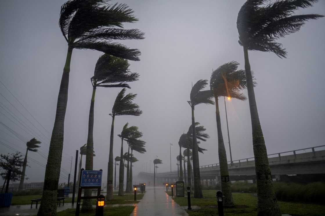 Wind billows against palm trees as Hurricane Ian, a massive and powerful Category 4 storm, nears Charlotte Harbor, Florida Wind billows against palm trees as Hurricane Ian, a massive and powerful Category 4 storm, nears Charlotte Harbor, Florida