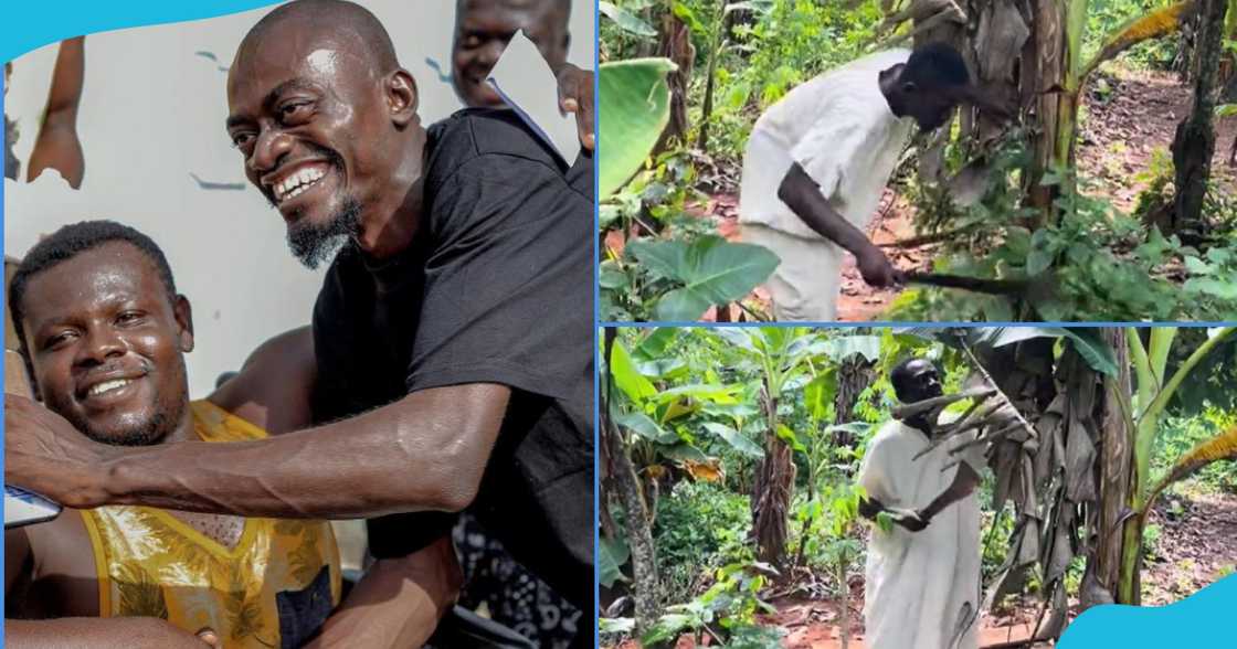 Lil Win weeding Lil Win weeding